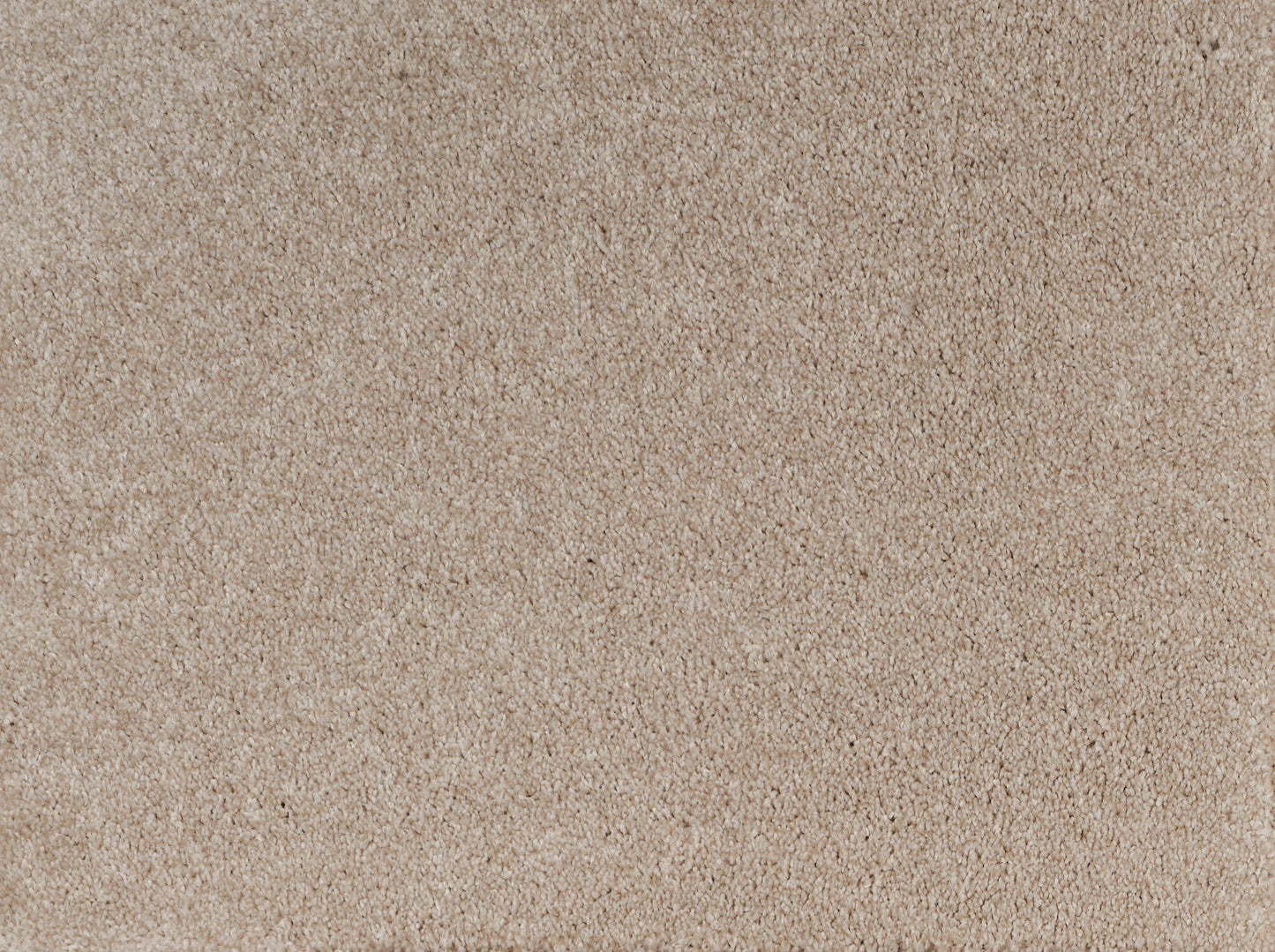 ALPINE HIGHLAND 2487 Carpet Roll