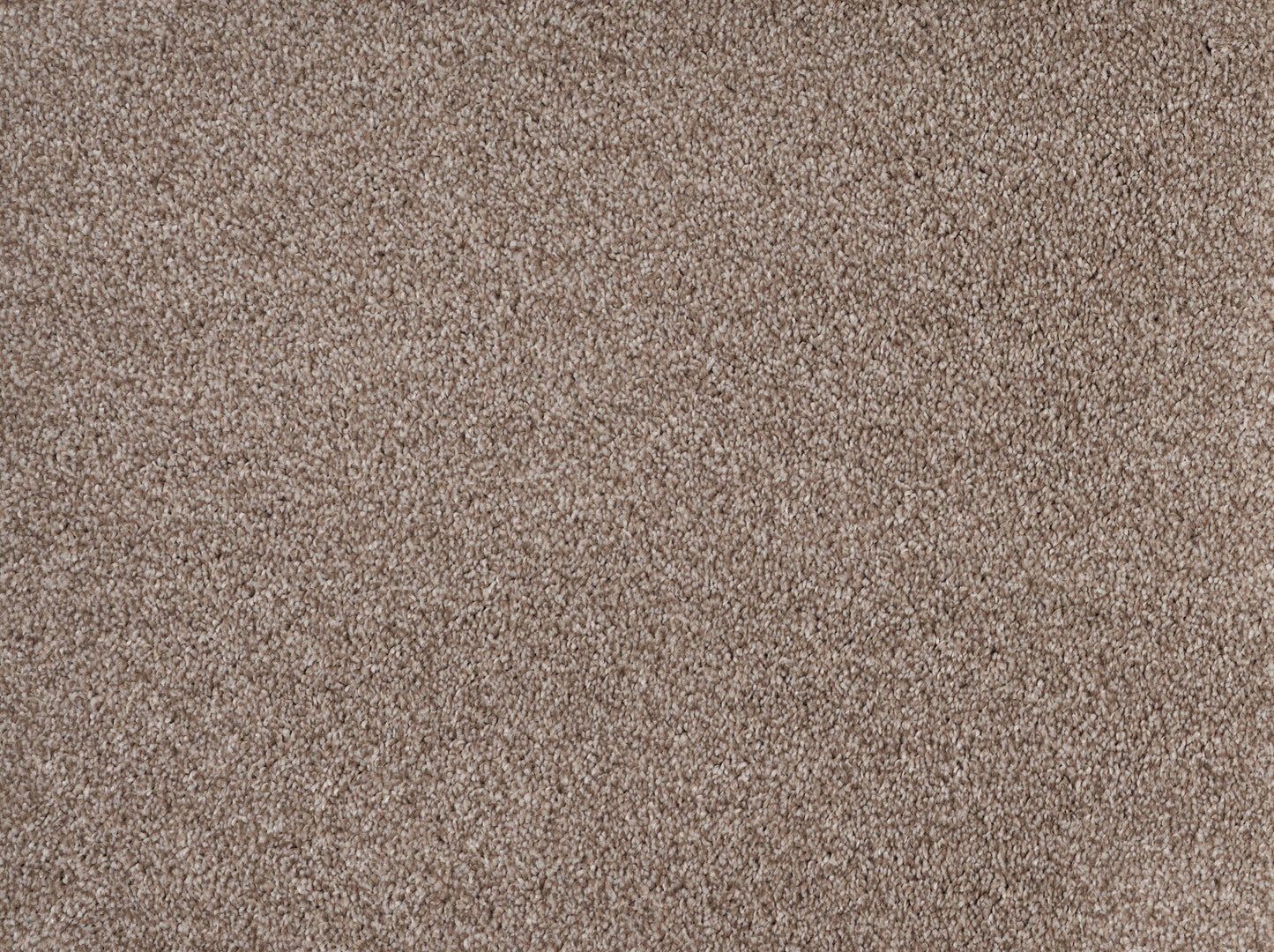 ALPINE SANDSTONE 22004 Carpet Roll