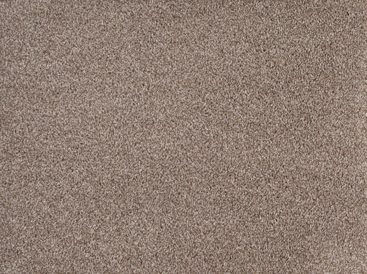 ALPINE SANDSTONE 22004 Carpet Roll