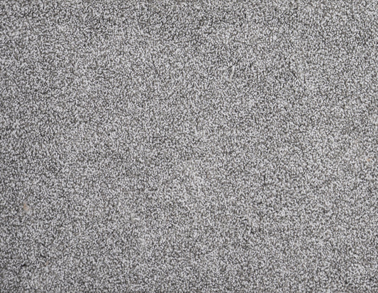 PARAMOUNT FIRST WATCH 5004 Carpet Roll