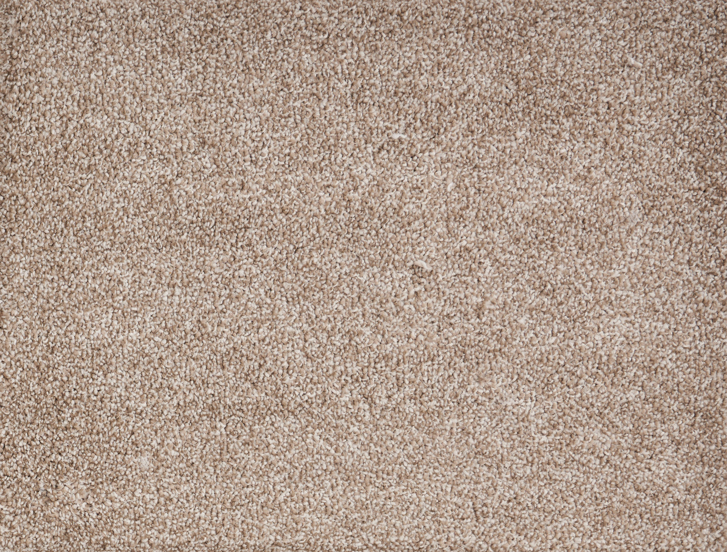 PARAMOUNT SUPER NATURAL 5002 Carpet Roll