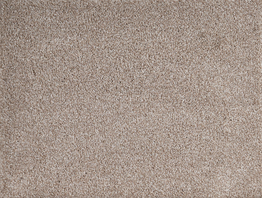 PARAMOUNT SUPREME NEUTRAL 5001 Carpet Roll