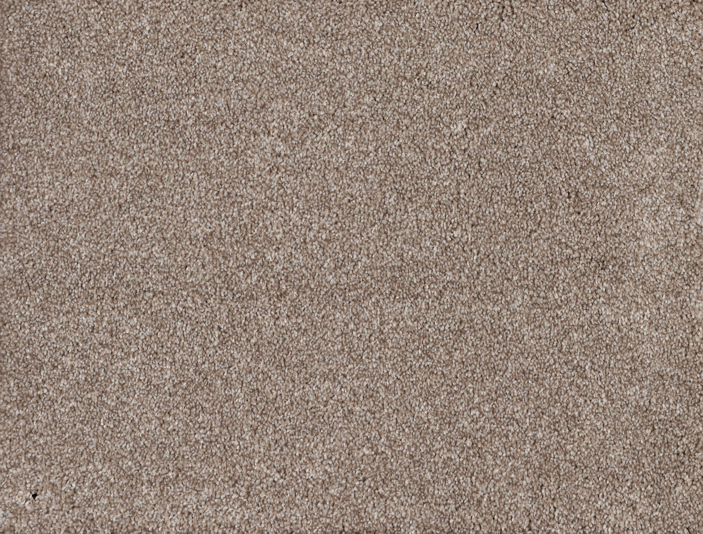 YELLOWSTONE SANDSTONE 22004 Carpet Roll
