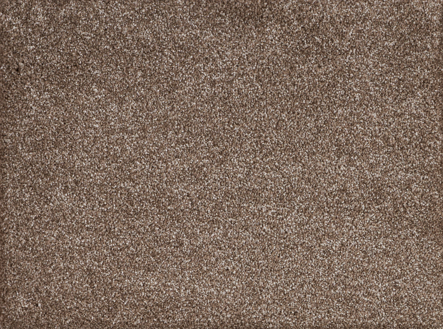 YELLOWSTONE STONEHENGE 2489 Carpet Roll
