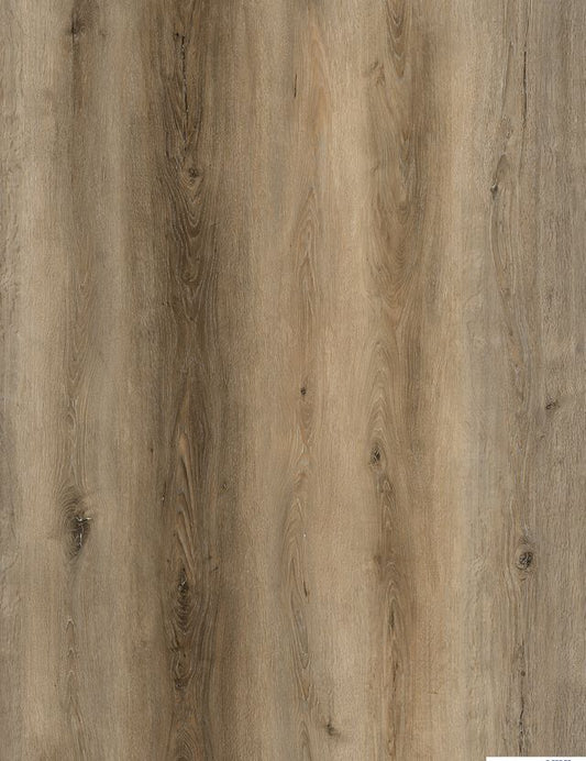 Saint Augustine Brisbane Waterproof Rigid Core Luxury Vinyl Plank Flooring - Sample