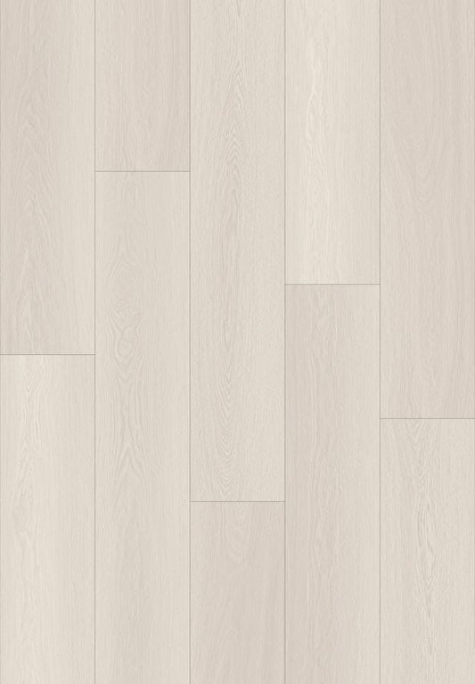 Timeless Splendor - 20000 82002