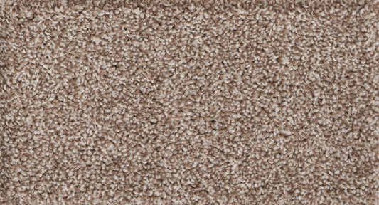 ALLURE	SHELL Carpet Roll