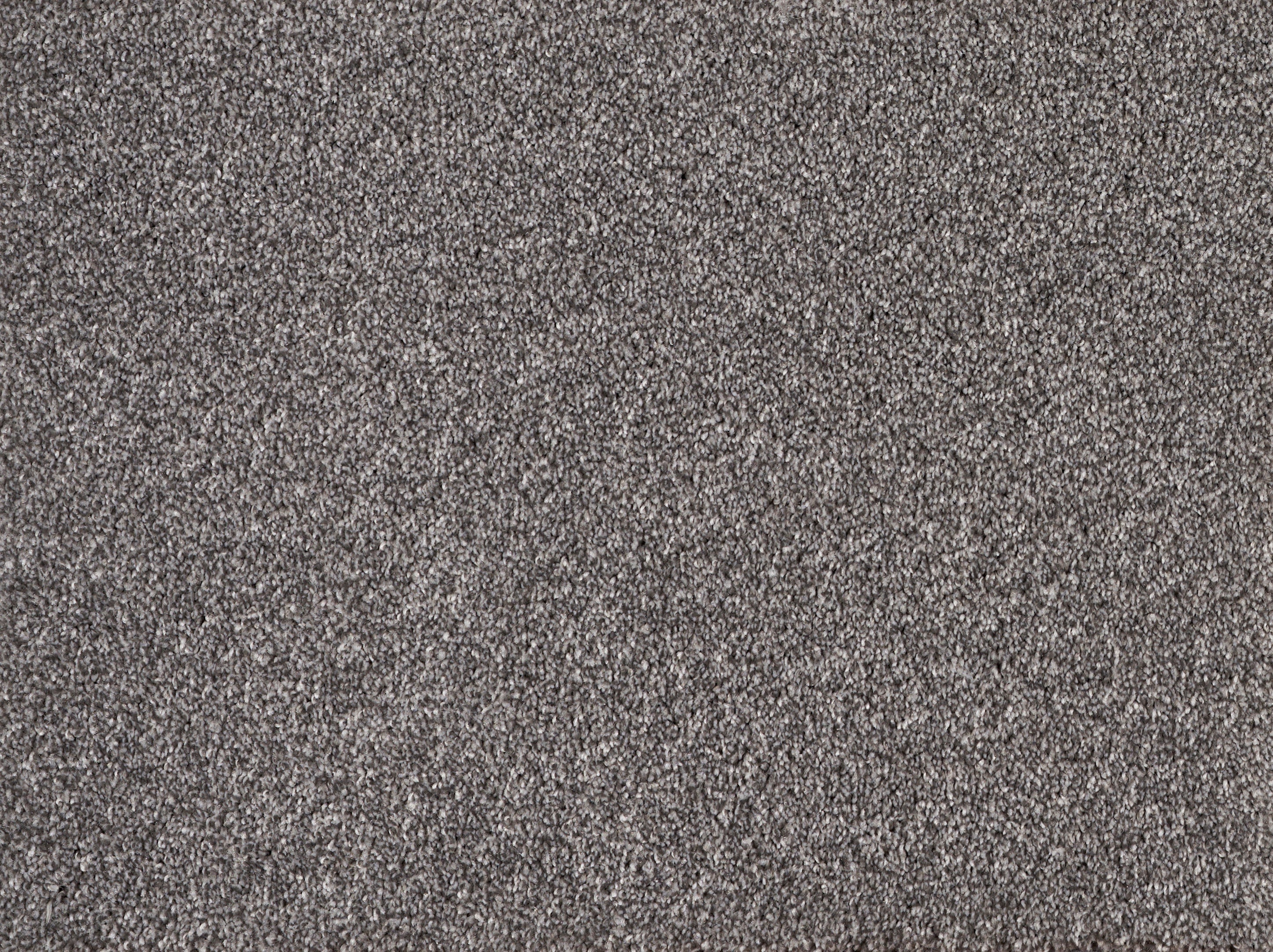 ALPINE	ASH 2522 Carpet Roll