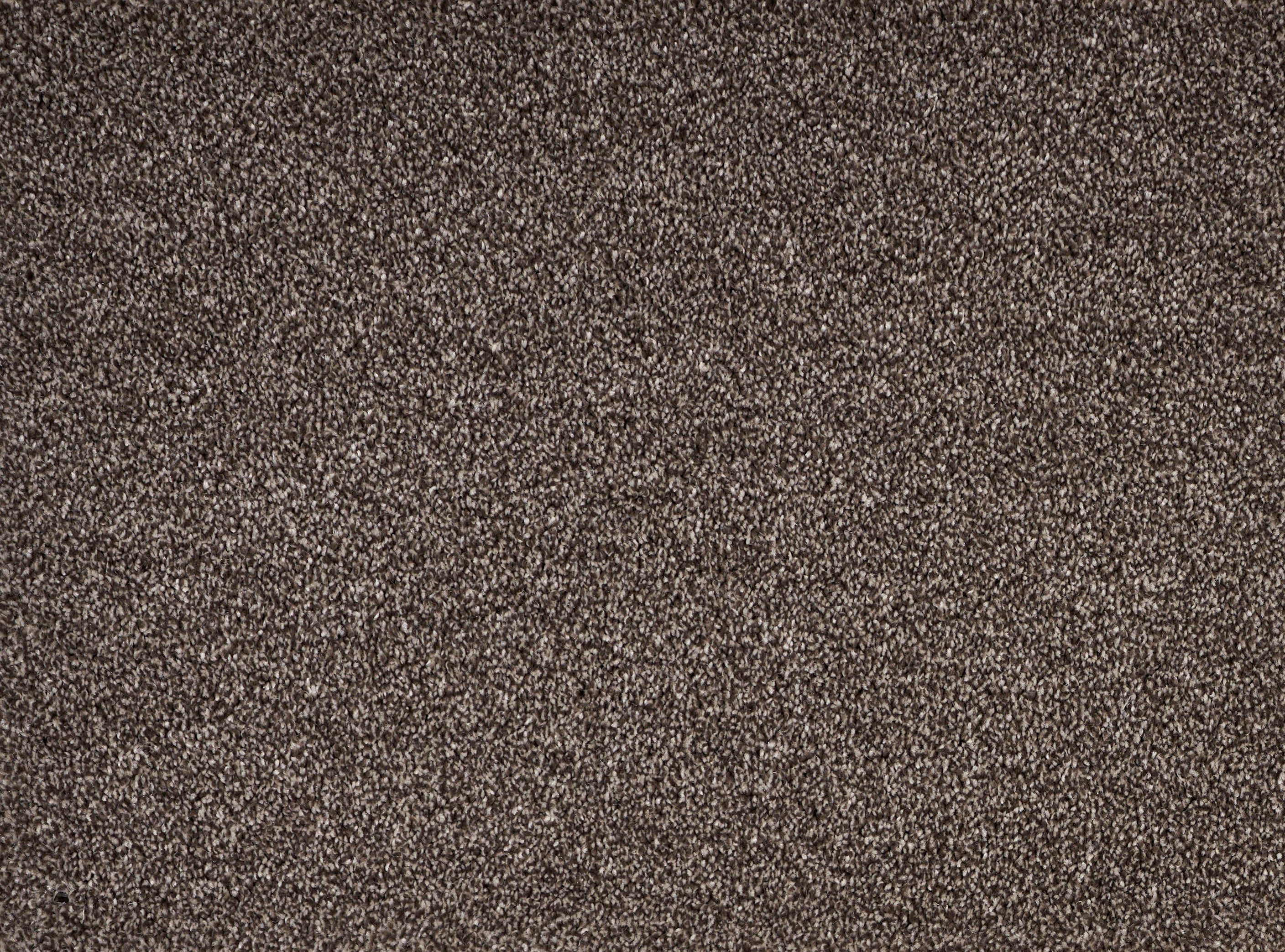ALPINE	BARK 22006 Carpet Roll