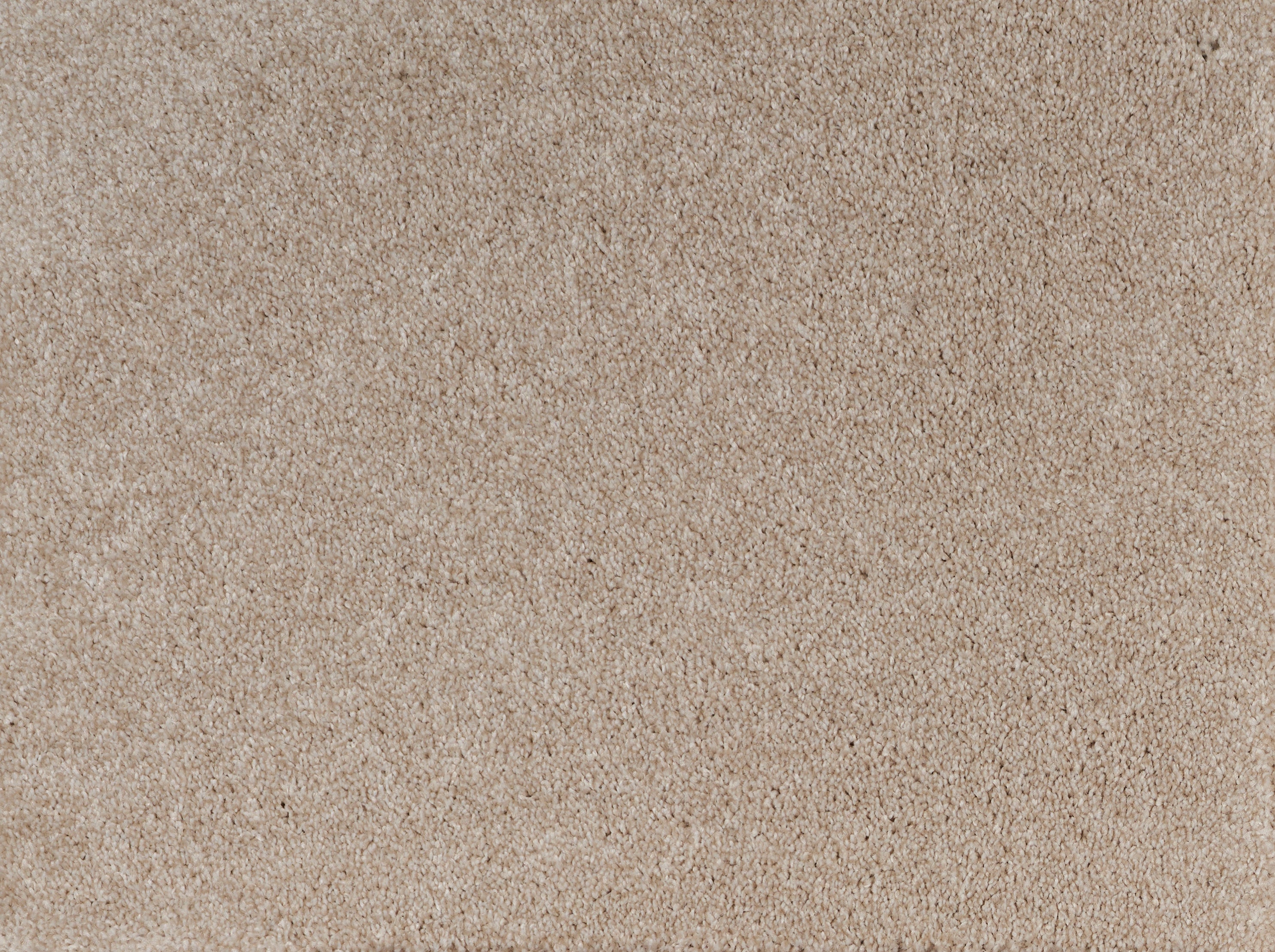 ALPINE	HIGHLAND 2487 Carpet Roll