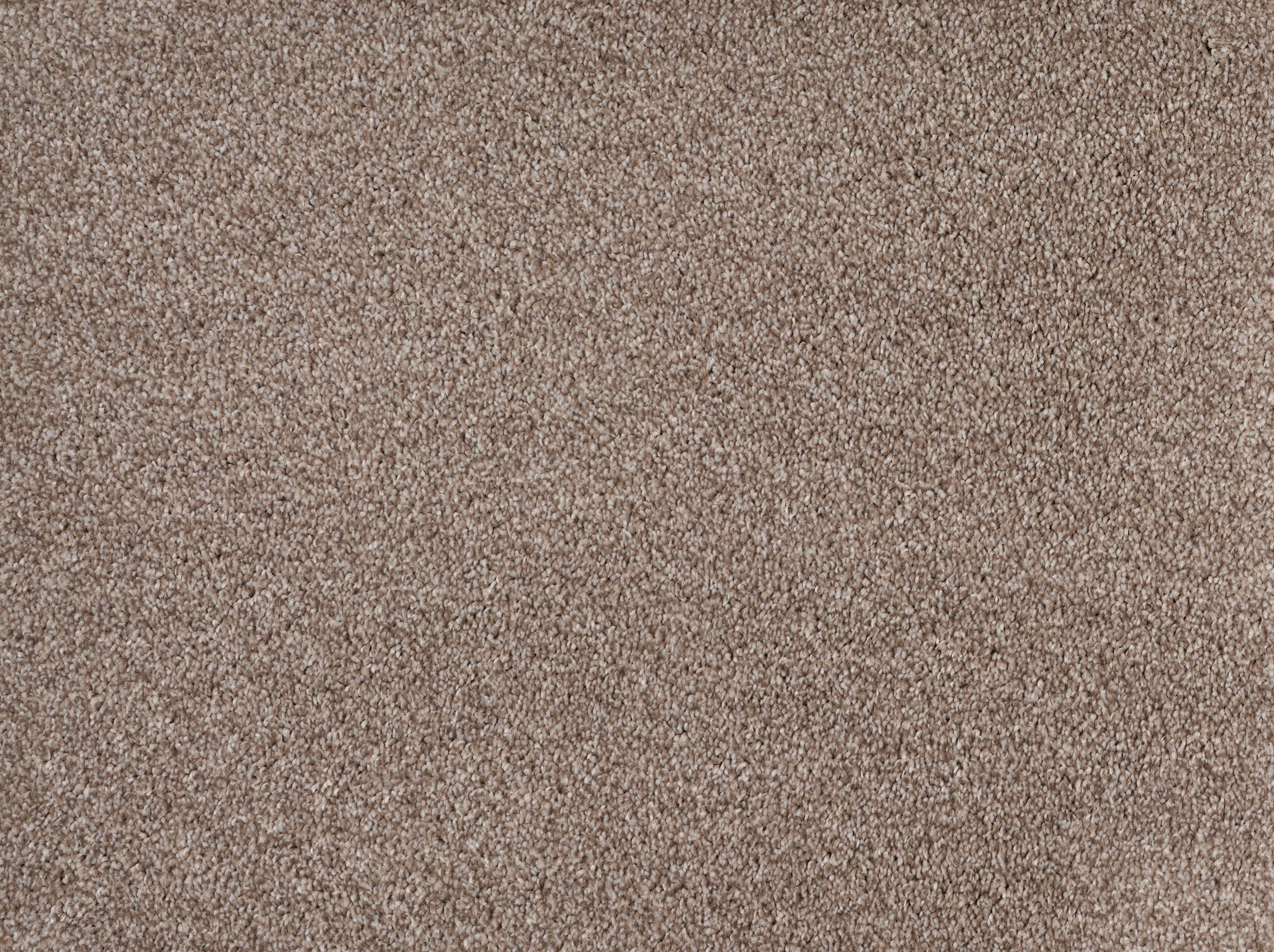 ALPINE	SANDSTONE 22004 Carpet Roll