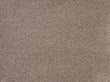 ALPINE	SANDSTONE 22004 Carpet Roll