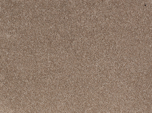 ALPINE	SUGAR COOKIE 2488 Carpet Roll