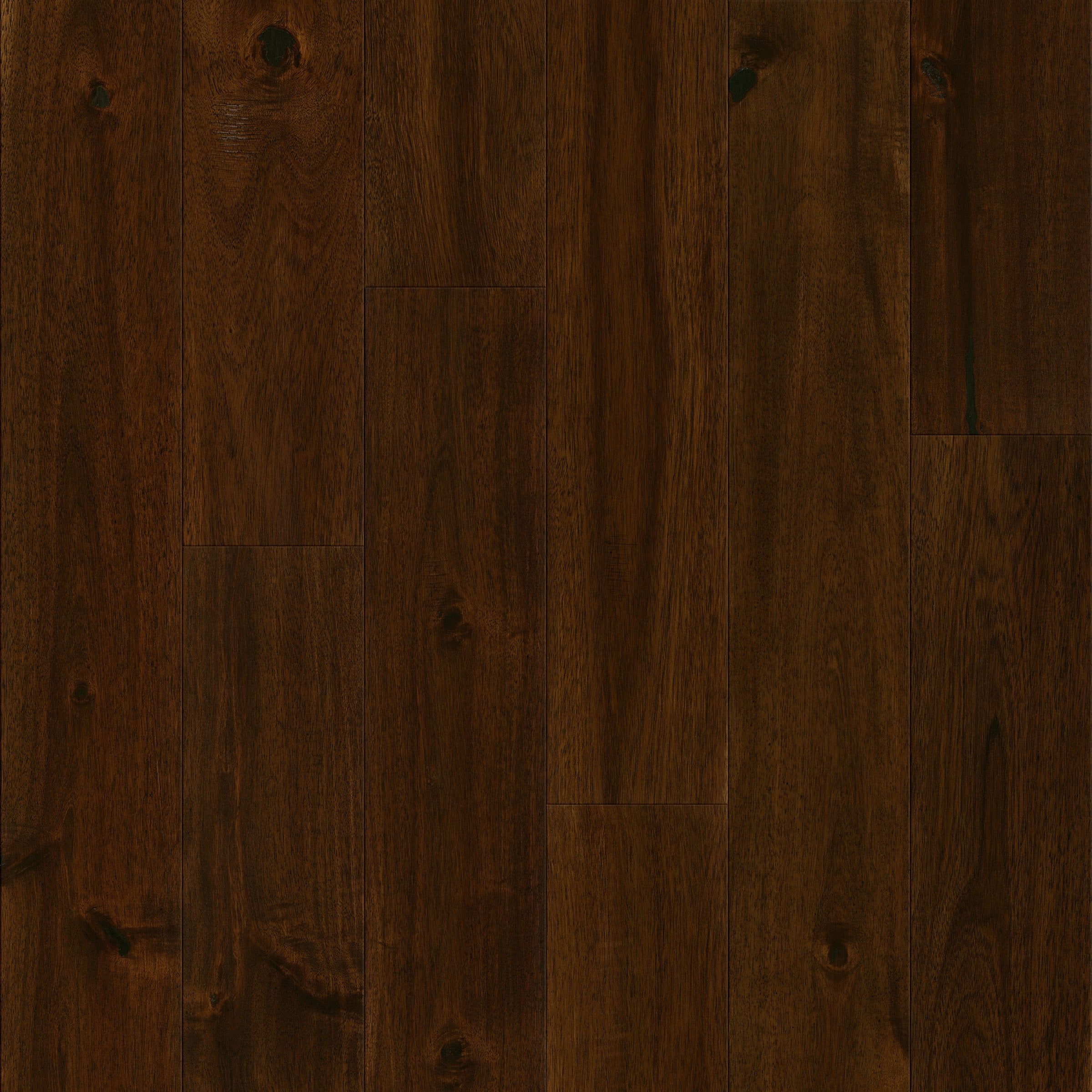 ASIAN WALNUT DUSKY