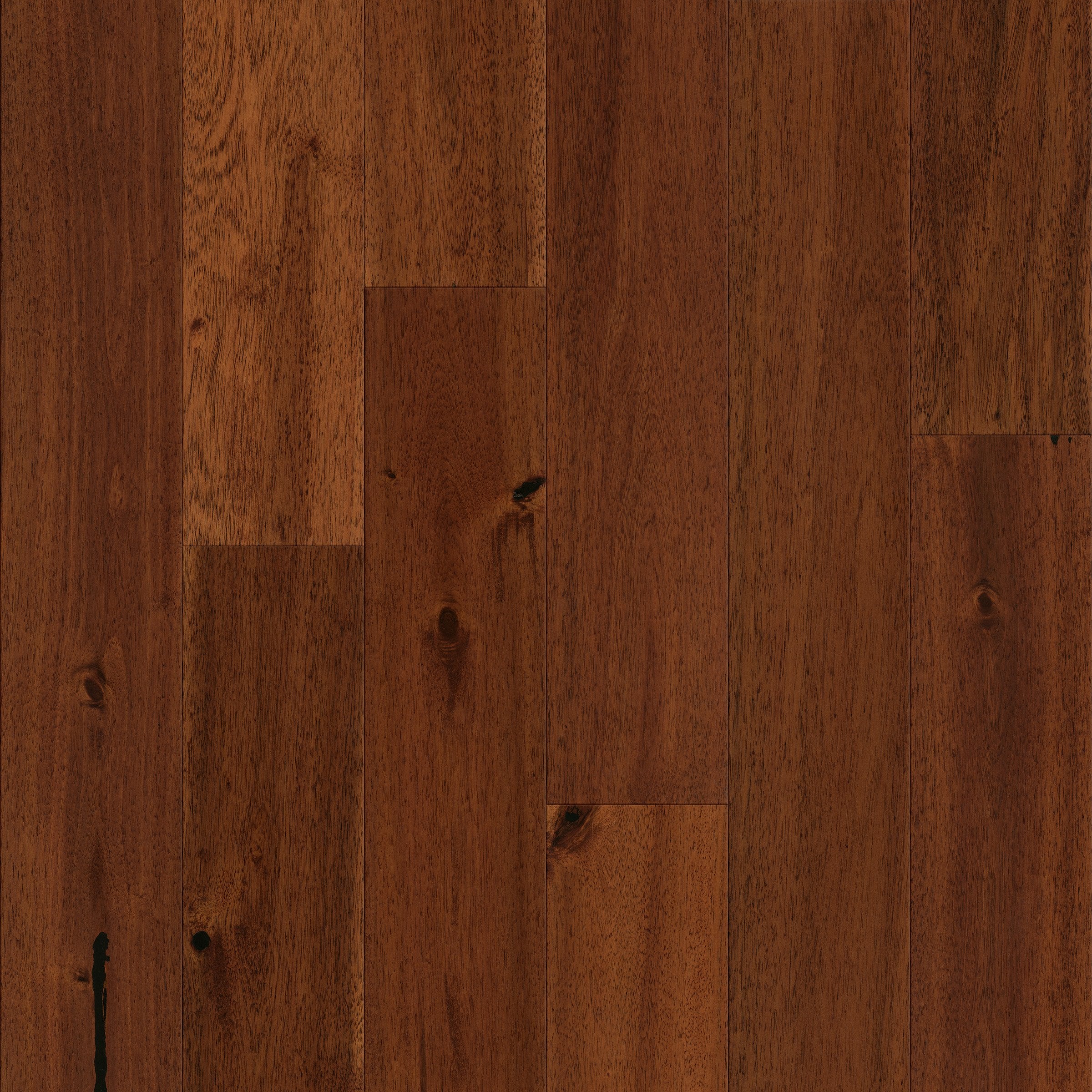 ASIAN WALNUT PARAGON