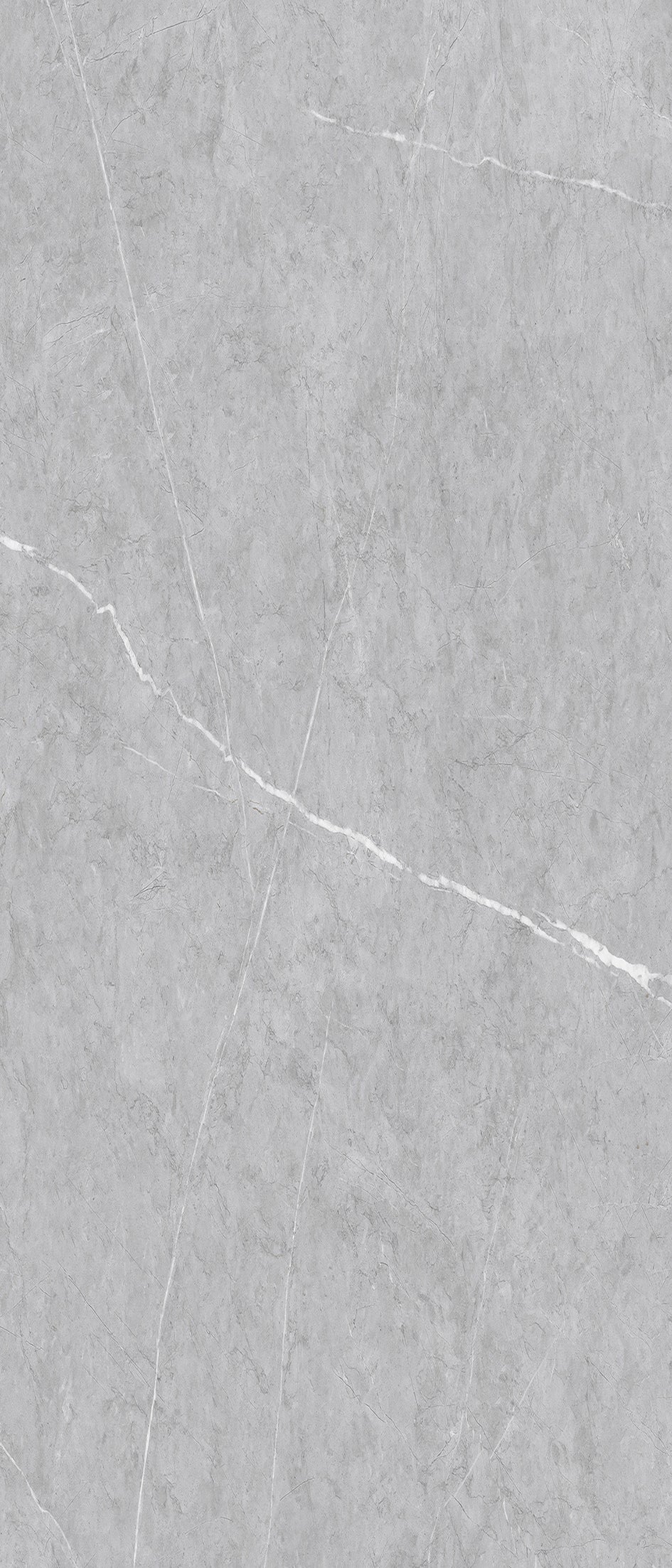 Bulgarian gray - 0028