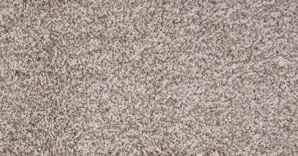 LUXURY SUITE	BRUSHED COTTON 1137 Carpet Roll
