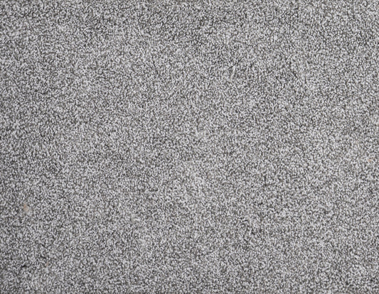 PARAMOUNT	FIRST WATCH 5004 Carpet Roll