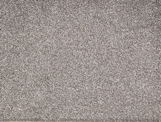 PARAMOUNT	PRIME GRAY 5005 Carpet Roll