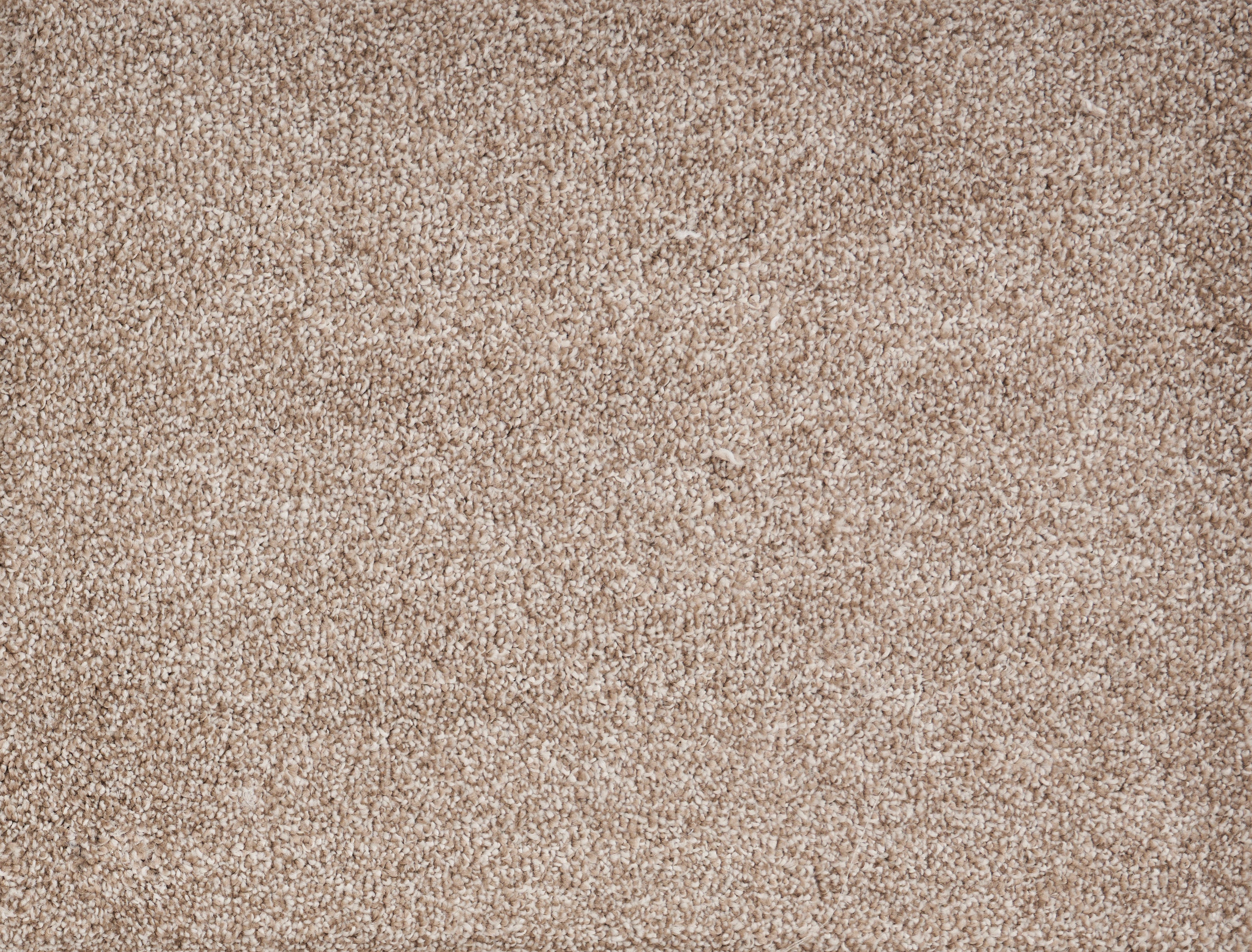 PARAMOUNT	SUPER NATURAL 5002 Carpet Roll