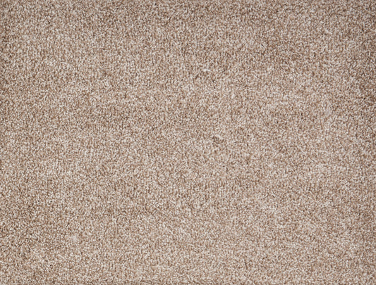 PARAMOUNT	SUPER NATURAL 5002 Carpet Roll