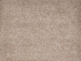 PARAMOUNT	SUPER NATURAL 5002 Carpet Roll