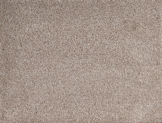 PARAMOUNT	SUPREME NEUTRAL 5001 Carpet Roll