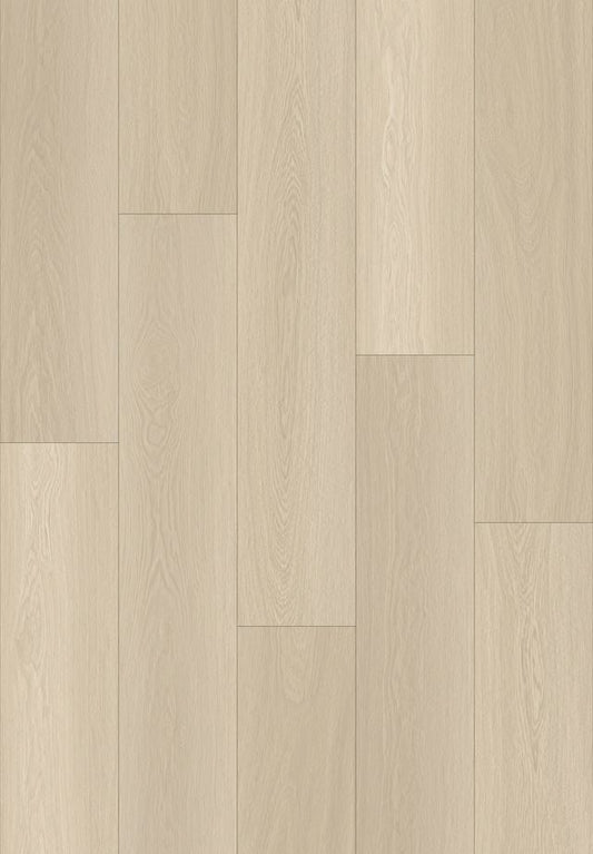 Darcy Barnwood - 20510 11002