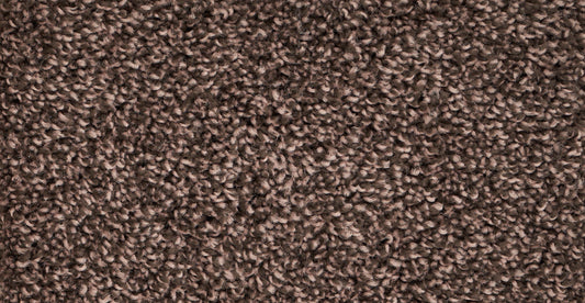 SHAZAM	ESPRESSO Carpet Roll