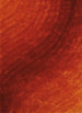 Burnt Orange