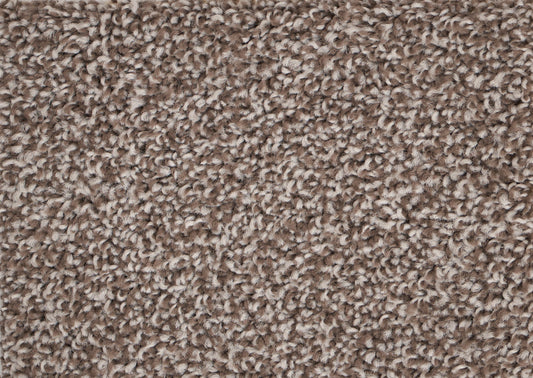 TOP GUN	SILVER LINING 121 Carpet Roll