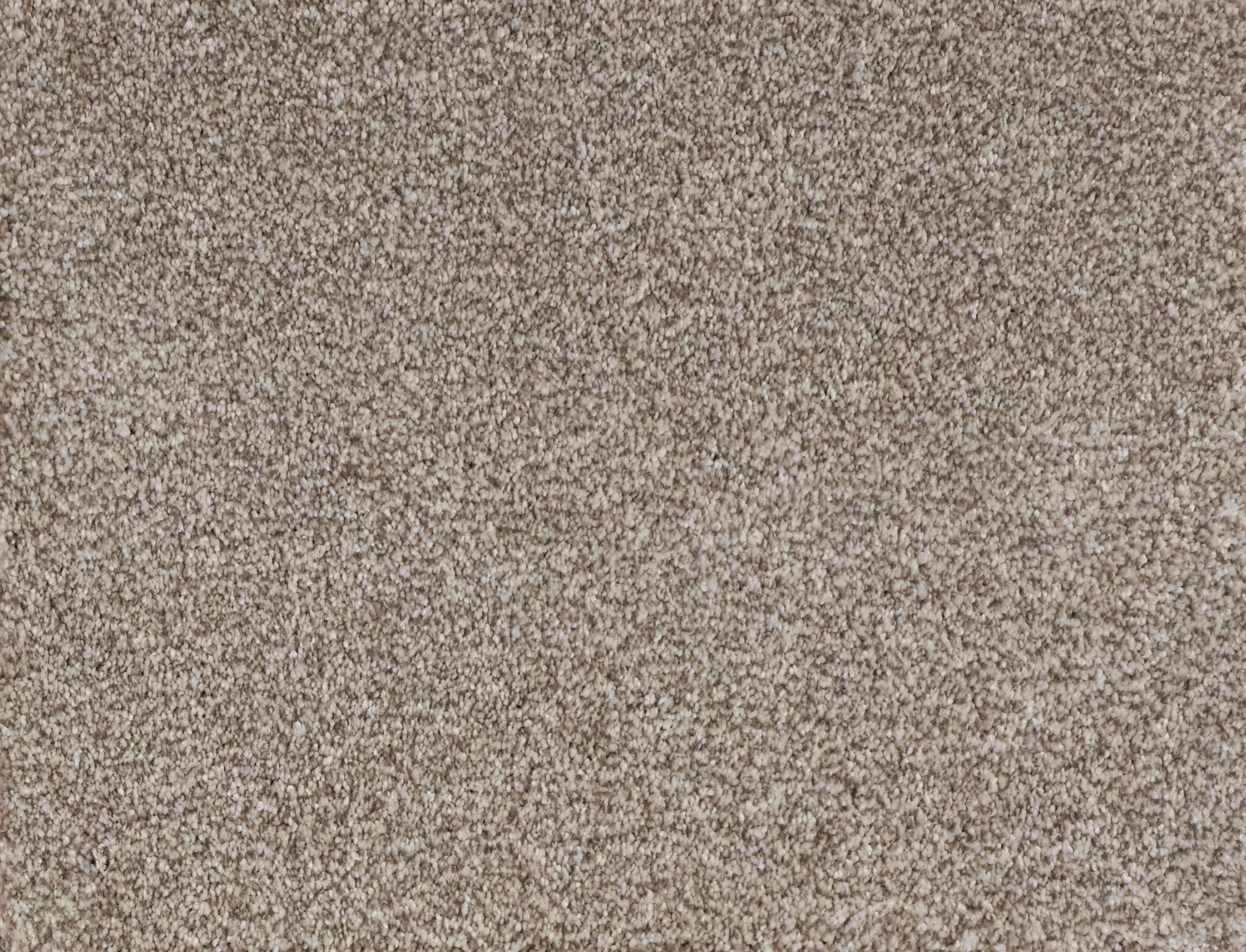 VINTAGE	MUSHROOM 80104 Carpet Roll