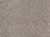 VINTAGE	TAUPE 80105 Carpet Roll