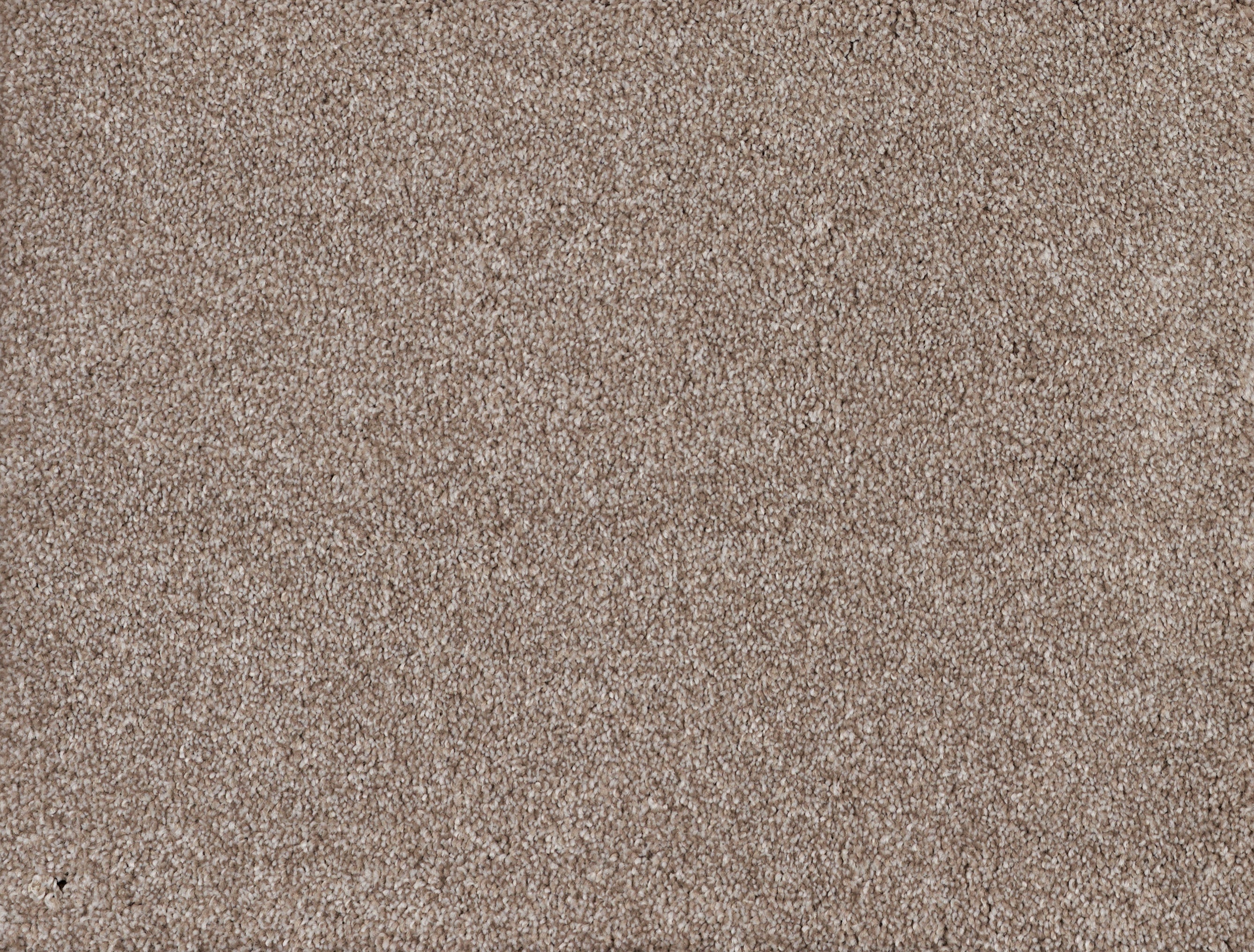 YELLOWSTONE	SANDSTONE 22004 Carpet Roll