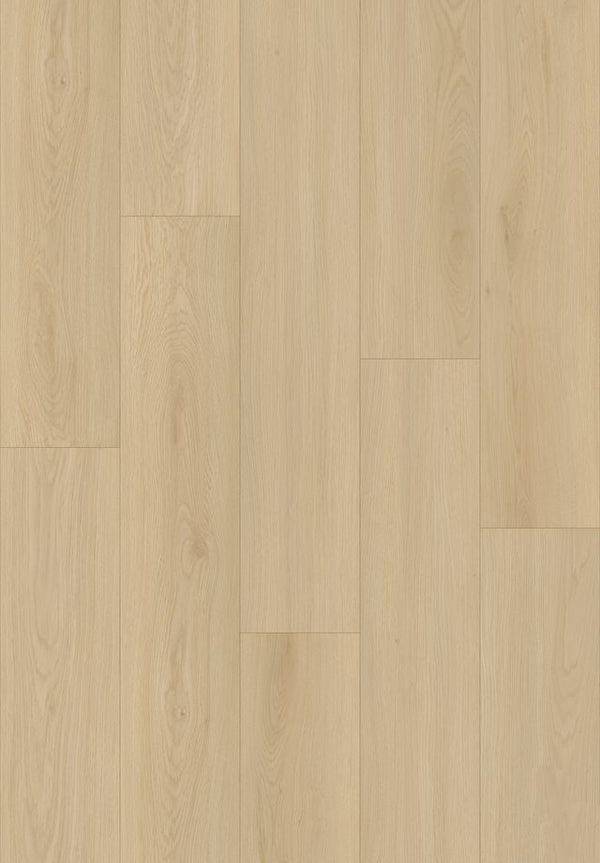 Brentwood Timeless Waterproof Rigid Core Luxury Vinyl Plank Flooring (20500 10012)