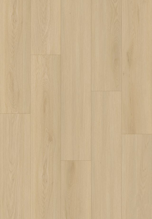 Brentwood Timeless - 20500 10012
