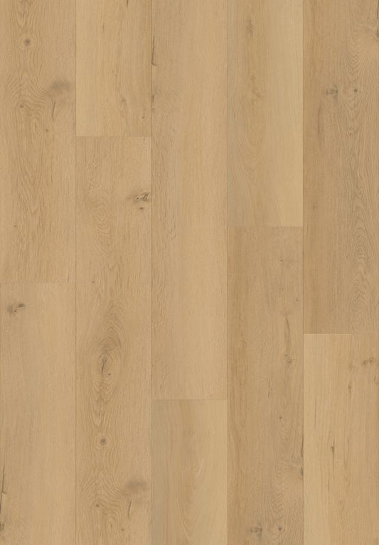 Brentwood Royal - 20500 10013