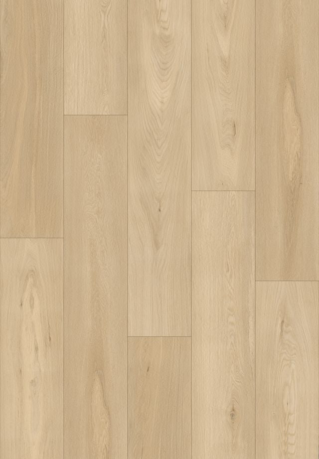 Darcy Glimmer Rigid Core Floor