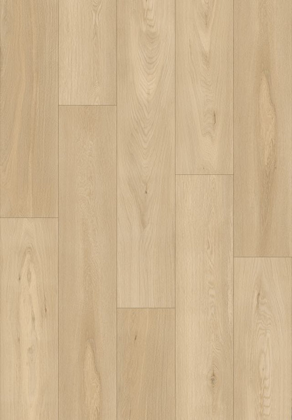 Darcy Glimmer Waterproof Rigid Core Luxury Vinyl Plank Flooring (20510 11003)