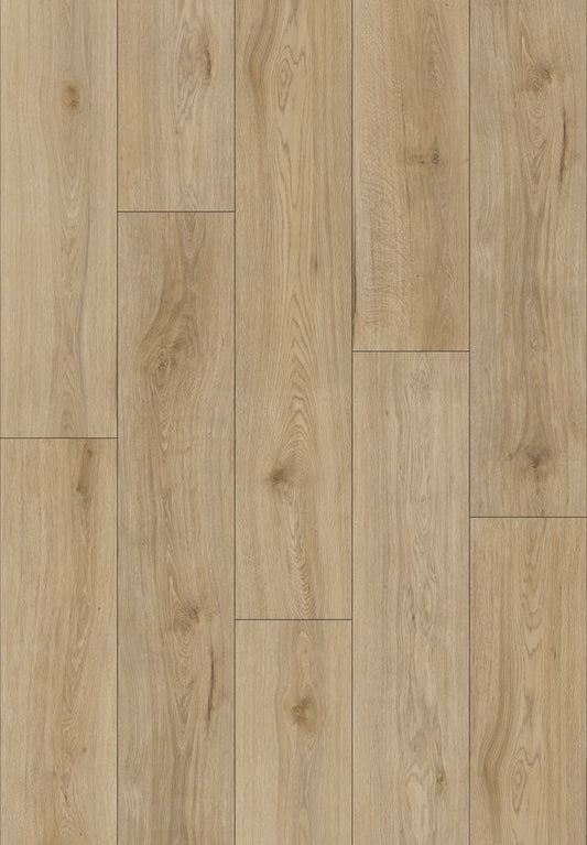 Eden Cloudwood - 20520 12202